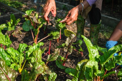 Community & Movements Documentation — photograph 8