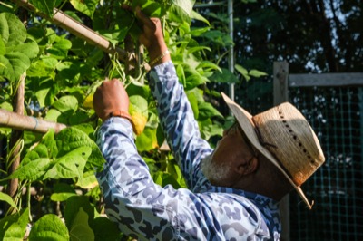 Community & Movements Documentation — photograph 9